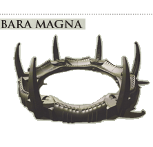 Go to Bara Magna